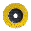 RAPTOR DISC 115 mm