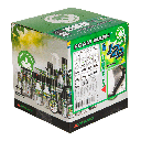 FOAM WASH 5lt